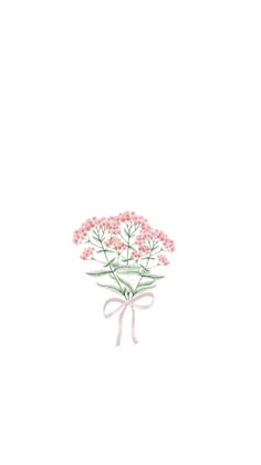 a bouquet of pink flowers on a white background