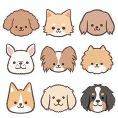 a group of dogs that are on a white background with the words, dog's faces