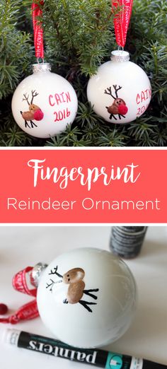 christmas ornaments with the words fingerprint reindeer ornament on them and an ornament hanging from a tree