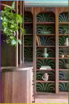 an image of a room with bookshelves and potted plants on the shelves