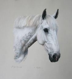 a drawing of a white horse's head