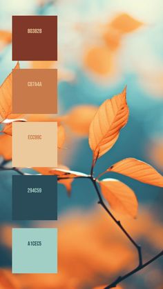 Colors:
803828
C87A4A
ECC99C
294C59
A1CEC5 Background Elements, Orange Palette, House Color Palettes, Orange Leaves, Changing Leaves, Color Lab