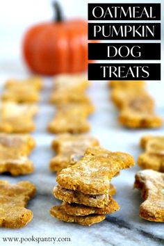 oatmeal pumpkin dog treats stacked on top of each other with a pumpkin in the background