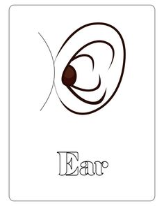 an ear with the word ear written in black ink on a white square background illustration