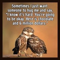 two owls sitting next to each other on top of a wooden table with the caption, sometimes i just want someone to hug me and say