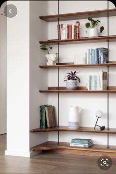 some shelves with books and plants on them