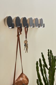 there is a potted plant next to a coat rack with keys hanging on it