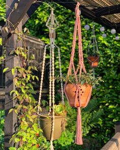 several hanging planters with plants in them