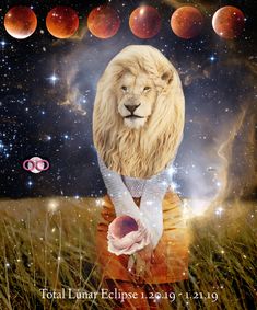 an image of a lion in the middle of a field with planets and stars behind it