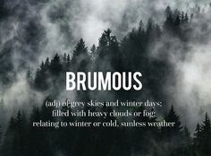 the words brumous are written in white on a black background with trees and fog