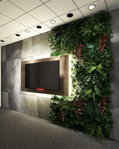 a tv mounted to the side of a wall with plants growing up it's sides