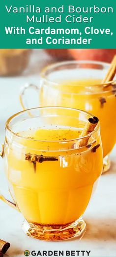 two glasses filled with orange juice and cinnamon sticks