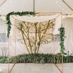 an outdoor ceremony with white drapes and greenery on the wall, decorated with lights