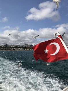 there is a flag on the back of a boat with seagulls flying around