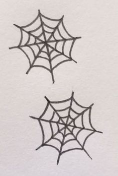 two spider webs are drawn on paper with black marker pens, one in the center and one in the middle