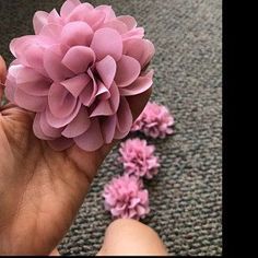 a hand holding a pink flower on top of carpeted floor next to other flowers