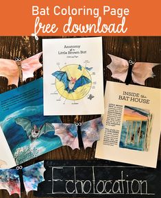 bat coloring page and free printables for kids to use with their own artwork