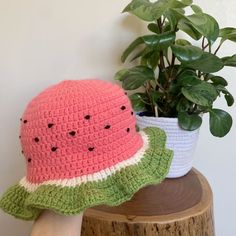 a watermelon hat sitting on top of a wooden stump next to a potted plant