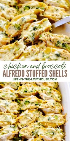 chicken and broccoli alfredo stuffed shells in a casserole dish with text overlay