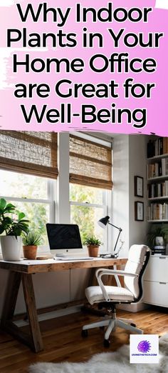 Discover why indoor plants are the ultimate addition to your home office 🏠💡. Not only do they brighten up the space, but they also promote well-being and productivity! 🌱💪 Learn more about the magic of plant therapy and how to incorporate it into your workspace.