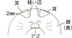 a drawing of a cat's face with the words written in english and chinese