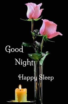 two roses in a vase with a candle on the side and good night happy sleep