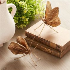 two books are sitting next to each other on a table with a butterfly figurine