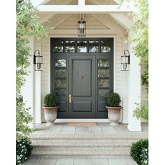 a black front door with two planters on either side and one light hanging above it