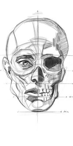 a pencil drawing of a human head with different angles and lines on the side of it