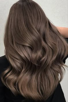 Rich Brown Hair, Hair Inspiration Color, Light Hair