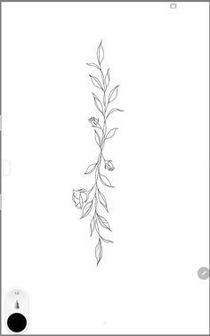 a black and white drawing of a branch with flowers on it's end, in the middle of an outline