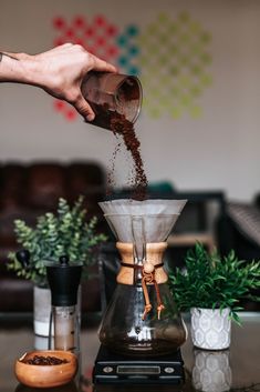 a person pouring coffee into a pot on top of a table next to some plants