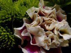 a bouquet of flowers with green leaves in the background