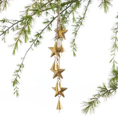 some gold stars hanging from a tree branch