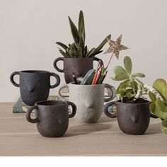 three coffee mugs with plants in them on a table