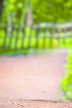 a blurry photo of a park bench with trees in the background