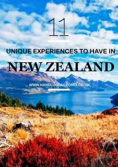 an image with the words unique experiences to have in new zealand, surrounded by mountains and water