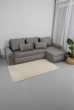 a living room with a couch, rug and potted plant