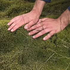 a person's hands on the ground with grass in front of them and one hand reaching for something