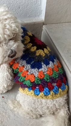 a white poodle wearing a multicolored crochet sweater sitting on the ground