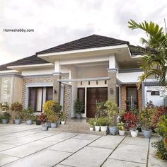 a house with potted plants in front of it