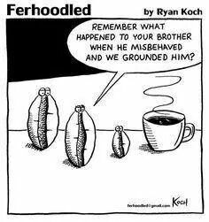 a comic strip with coffee and beans on the table, saying ferrolded by ryan kotch