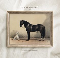 an old photo of a horse and a dog in front of a wall with the words art prints on it