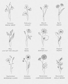 an image of flowers and their names