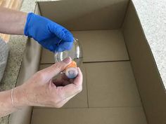 a person in blue gloves is opening a box with an orange substance inside the package