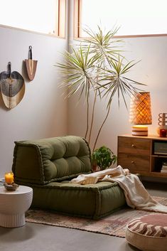 a living room filled with furniture and a potted plant