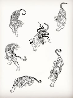 tiger tattoo designs on white paper with black and white inking, including one in the middle