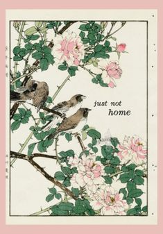 two birds sitting on top of a tree with pink and white flowers in the background