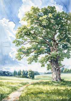 a painting of a tree in the middle of a grassy field with a dirt path leading to it