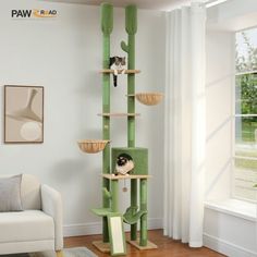 a cat tree in the corner of a living room